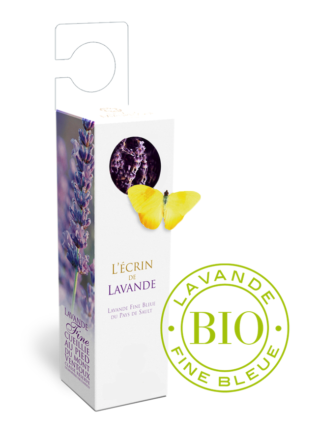 Lavande avec crochet pour cintre | Un Brin de Provence
