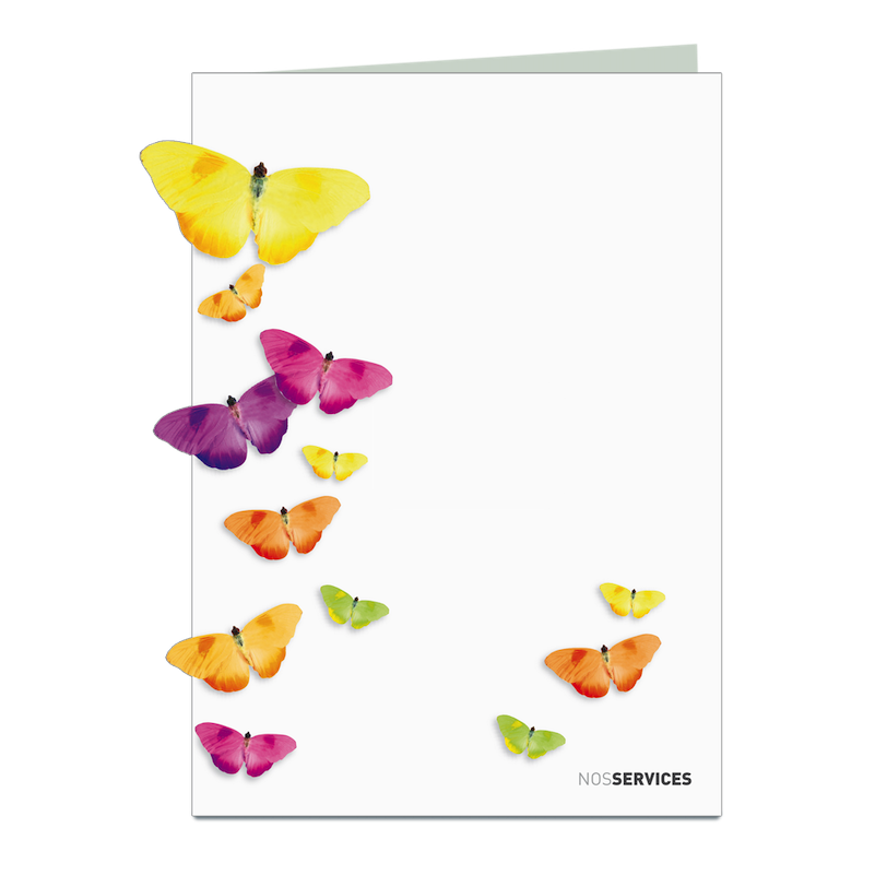 Jouez avec les papillons | Un Brin de Provence